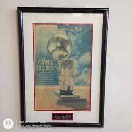 Chicago Bulls "Simply the Best" Michael Jordan 1996 NBA Championship Framed Wall Hanging